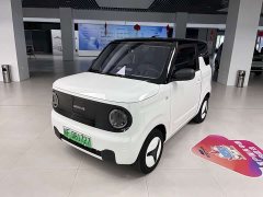 Geely Panda Mini New Spring Edition Treasure Bear - ფოტო 1