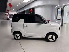 Geely Panda Mini New Spring Edition Treasure Bear - ფოტო 10