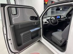 Geely Panda Mini New Spring Edition Treasure Bear - ფოტო 11