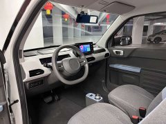 Geely Panda Mini New Spring Edition Treasure Bear - ფოტო 14