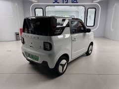 Geely Panda Mini New Spring Edition Treasure Bear - ფოტო 2