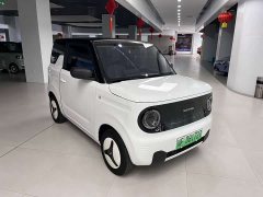 Geely Panda Mini New Spring Edition Treasure Bear - ფოტო 3