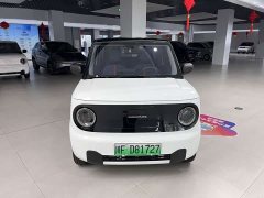 Geely Panda Mini New Spring Edition Treasure Bear - ფოტო 4