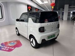 Geely Panda Mini New Spring Edition Treasure Bear - ფოტო 5