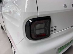 Geely Panda Mini New Spring Edition Treasure Bear - ფოტო 8