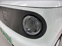 Geely Panda Mini New Spring Edition Treasure Bear - ფოტო 9