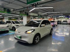 Wuling Binguo 333km Joy Edition - ფოტო 1