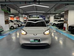Wuling Binguo 333km Joy Edition - ფოტო 2