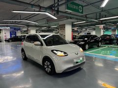Wuling Binguo 333km Joy Edition - ფოტო 3