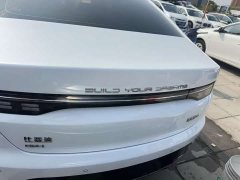 BYD Destroyer 05 Glory Edition DM-i 55KM Luxury - ფოტო 4