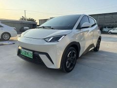 BYD Seagull 2023 Freedom Edition - ფოტო 1