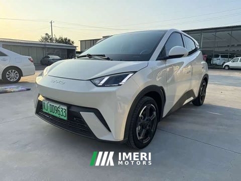 2024 BYD Seagull 2023 Freedom Edition - ავტომობილი ჩინეთიდან