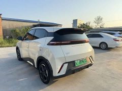 BYD Seagull 2023 Freedom Edition - ფოტო 12