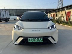 BYD Seagull 2023 Freedom Edition - ფოტო 2