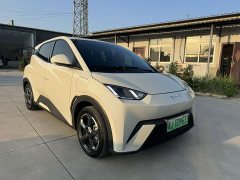 BYD Seagull 2023 Freedom Edition - ფოტო 3
