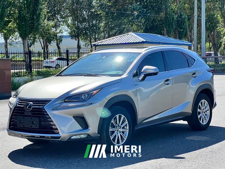 Lexus NX 2020 200 AWD Sharp Luxury Edition National VI - ავტომობილი ჩინეთიდან