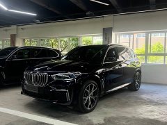 BMW X5 2022 xDrive 40Li M Sport Package - photo 1