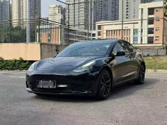 Tesla Model 3 2022 Rear-Wheel Drive - ფოტო 3