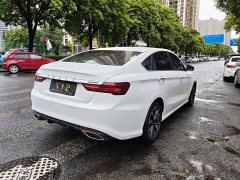 Geely Binrui 2021 1.4T CVT Asian Games Edition - ფოტო 15