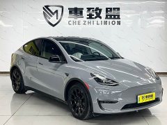 Tesla Model Y Rear-Wheel Drive - ფოტო 3