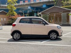 Leapmotor Leapo T03 310 Comfort Edition - ფოტო 4