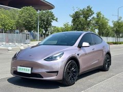 Tesla Model Y Rear-Wheel Drive - ფოტო 1