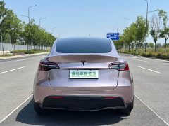 Tesla Model Y Rear-Wheel Drive - ფოტო 11