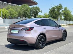 Tesla Model Y Rear-Wheel Drive - ფოტო 12
