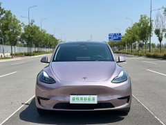 Tesla Model Y Rear-Wheel Drive - ფოტო 2