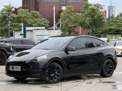 Tesla Model Y Long Range All-Wheel Drive - ფოტო 1