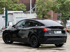 Tesla Model Y Long Range All-Wheel Drive - ფოტო 12