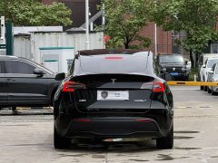 Tesla Model Y Long Range All-Wheel Drive - ფოტო 13