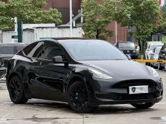 Tesla Model Y Long Range All-Wheel Drive - ფოტო 3