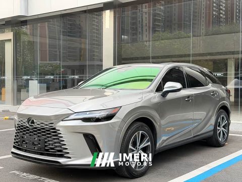 2023 Lexus RX 350h FWD Pleasure Edition - car from China