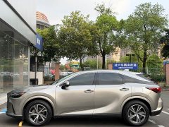 Lexus RX 350h FWD Pleasure Edition - ფოტო 8