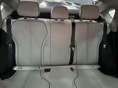 BYD Destroyer 05 Glory Edition DM-i 55KM Luxury - ფოტო 16