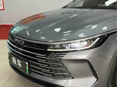 BYD Destroyer 05 Glory Edition DM-i 55KM Luxury - ფოტო 2