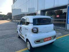 FAW Besturn Xiaoma 222km Lightning Edition - photo 5