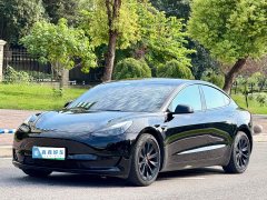 Tesla Model 3 2020 Standard Range RWD Upgrade - ფოტო 1