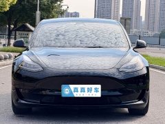 Tesla Model 3 2020 Standard Range RWD Upgrade - ფოტო 2
