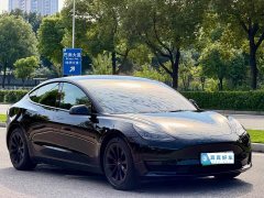 Tesla Model 3 2020 Standard Range RWD Upgrade - ფოტო 3