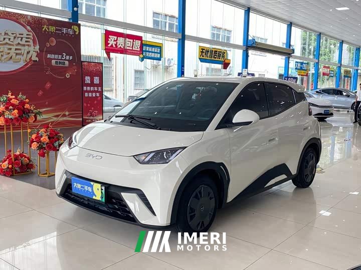 BYD Seagull Glory Edition 305km Vitality Version - ავტომობილი ჩინეთიდან