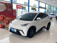 BYD Seagull Glory Edition 305km Vitality Version - ფოტო 1