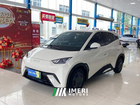 2024 BYD Seagull Glory Edition 305km Vitality Version - ავტომობილი ჩინეთიდან