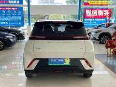 BYD Seagull Glory Edition 305km Vitality Version - ფოტო 11