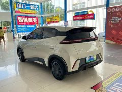 BYD Seagull Glory Edition 305km Vitality Version - ფოტო 13