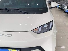 BYD Seagull Glory Edition 305km Vitality Version - ფოტო 14
