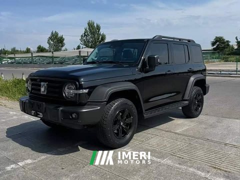 2022 Tank 300 2021 Off-Road Edition 2.0T Conqueror - ავტომობილი ჩინეთიდან