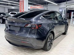 Tesla Model Y Rear-Wheel Drive - ფოტო 4