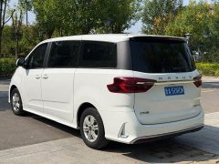 Maxus G20 ES 2.0T Gasoline Automatic Value Edition - ფოტო 5